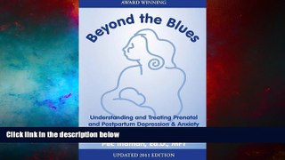 Must Have  Beyond the Blues, Understanding and Treating Prenatal and Postpartum Depression