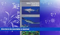 FAVORITE BOOK  Saltwater Fishes: A Folding Pocket Guide to Familiar North American Species