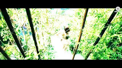 Toota Jo Kabhi Tara | A Flying Jatt | Dance Mix by ZAD | Full Video Song