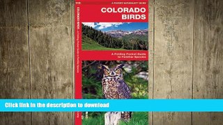 READ  Colorado Birds: A Folding Pocket Guide to Familiar Species (Pocket Naturalist Guide
