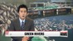 Algae blooms in Korea's rivers threaten drinking water
