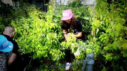 One street shot- Peace, Love & fight - épisode 7