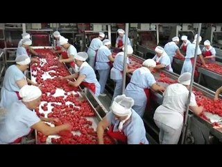 Campania - Pomodoro, la produzione diminuisce ma aumenta la qualità (20.06.16)