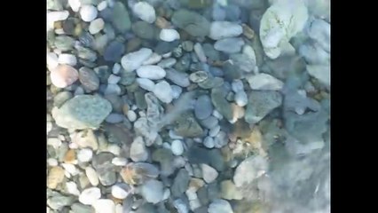 ΠΑΡΑΛΙΑ 2016 Full HD