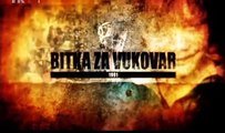 Bitka za Vukovar -5.Treća faza bitke - Bitka za Vukovar, Bitka za Hrvatsku