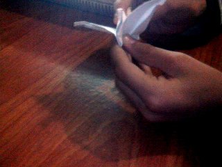 origami flapping bird