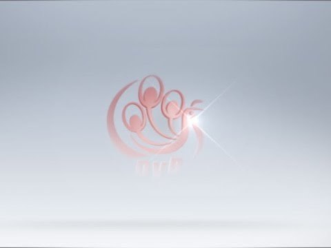 DVB English Headlines 30/06/14