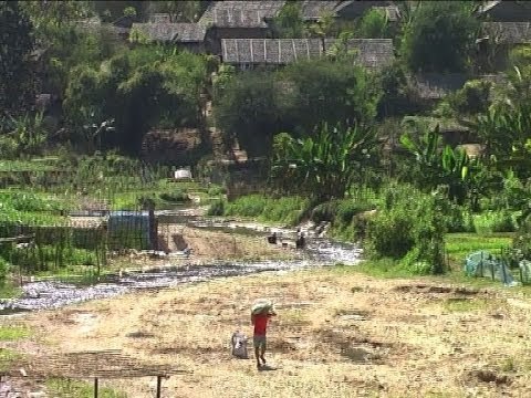 Repatriation for Burmese refugees discussed on World Refugee Day