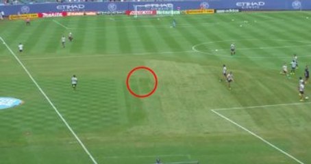 Futbolcular Göz Göre Göre Sahadaki Kuşu Öldürdü