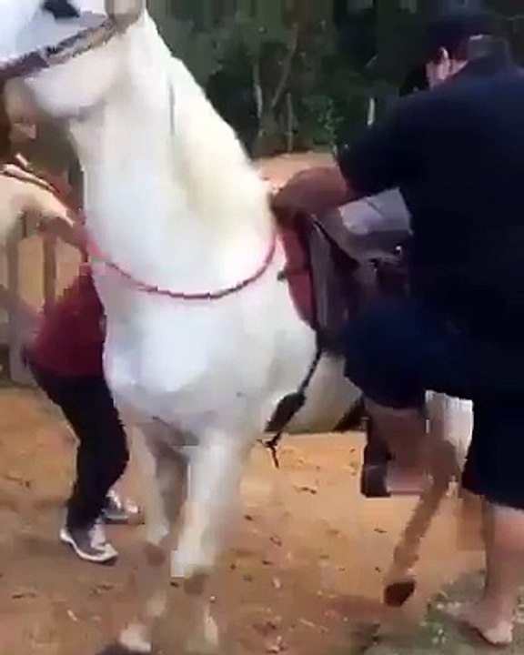 Too much weight on poor little horse