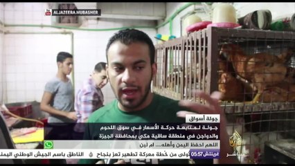 تعرف على حركة الأسعار في سوق اللحوم والدواجن في منطقة ساقية مكي بمحافظة الجيزة