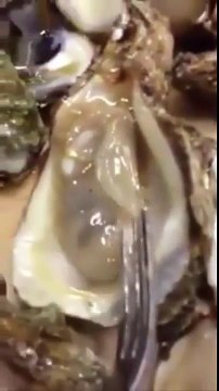 Voici pourquoi il vaut mieux y regarder à deux fois avant de manger des huîtres !