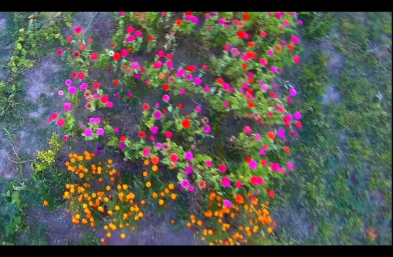 ⁣Олег Скрипка - Україна (ПРЕМ'ЄРА)