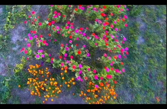 Олег Скрипка - Україна (ПРЕМ'ЄРА)