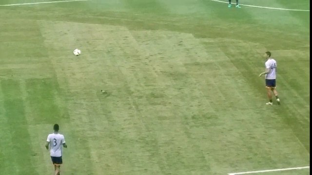 Piłkarz Los Angeles Galaxy trafia piłką w gołębia podczas rozgrzewki