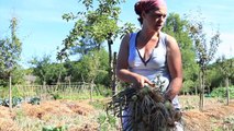 Permaculture