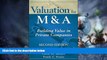 Must Have PDF  Valuation for M A: Building Value in Private Companies  Best Seller Books Most Wanted