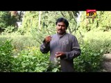Mud Rusiyan | Manzoor Tharaj | Saraiki Songs | New Songs 2015 | Thar Production
