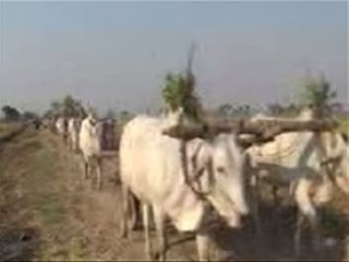 Plough protestors charged with trespassing and vandalism