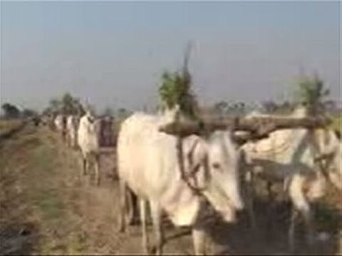 Plough protestors charged with trespassing and vandalism