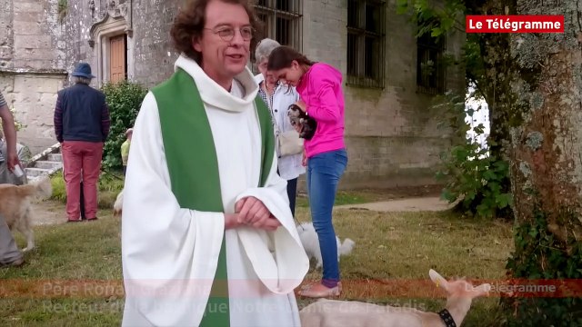 Hennebont. Plus de 250 personnes font bénir leur animal de compagnie
