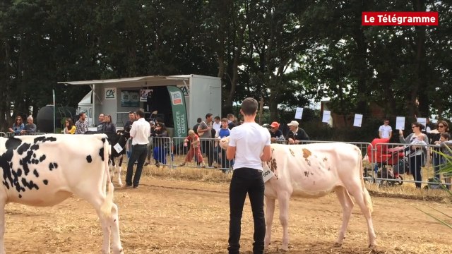 Quimper. Agrifête : plus de 20.000 spectateurs