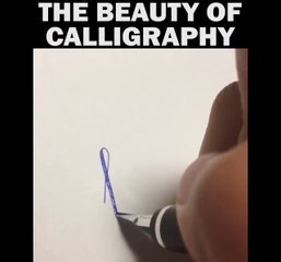 The Beauty Of Calligraphy Funny Clip