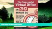 READ FREE FULL  The Successful Virtual Office In 30 Minutes: Best practices, tools, and setup