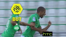 But Kévin MONNET-PAQUET (47ème) / AS Saint-Etienne - Montpellier Hérault SC - (3-1) - (ASSE-MHSC) / 2016-17