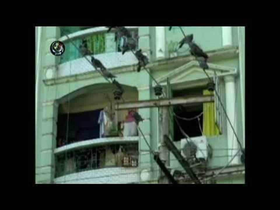 Foreign businessmen go homeless in Rangoon