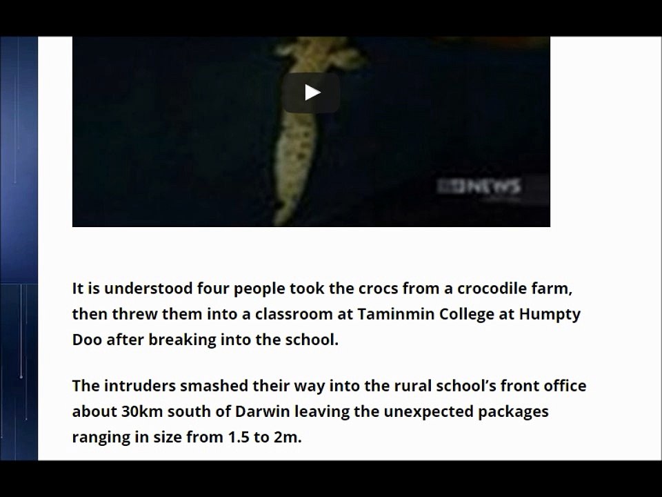 Australia – Three crocodiles dumped at NT school
