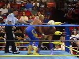 Sting vs Ric Flair (NWA Title)
