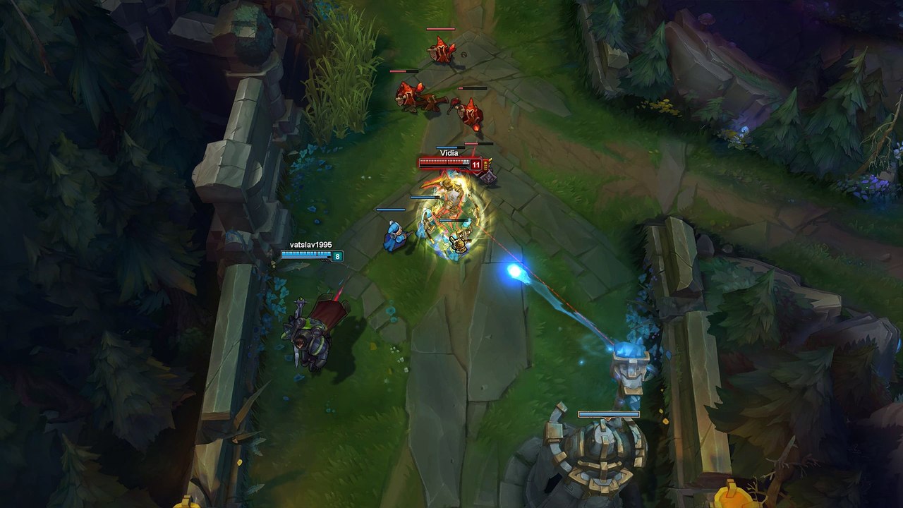 BUG