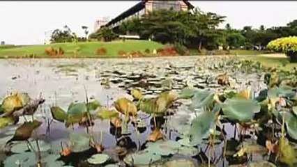 LG ICC awards 2012 Highlights