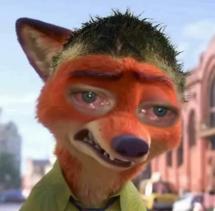 meme mami on Instagram __Follow for memes And tag your meme pals dankmemes memes papafranku fllthyfank autism cringe dank comedy triggered brony tumblr vine girls 4chan weeaboo funny laugh comedy edgy trump teen cool yo