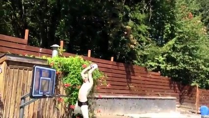 PEOPLE ARE AWESOME (Summer