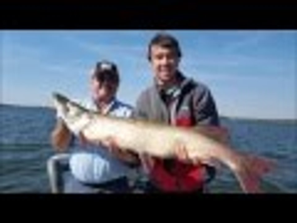 Huge 48" Canada Muskie- Must See!