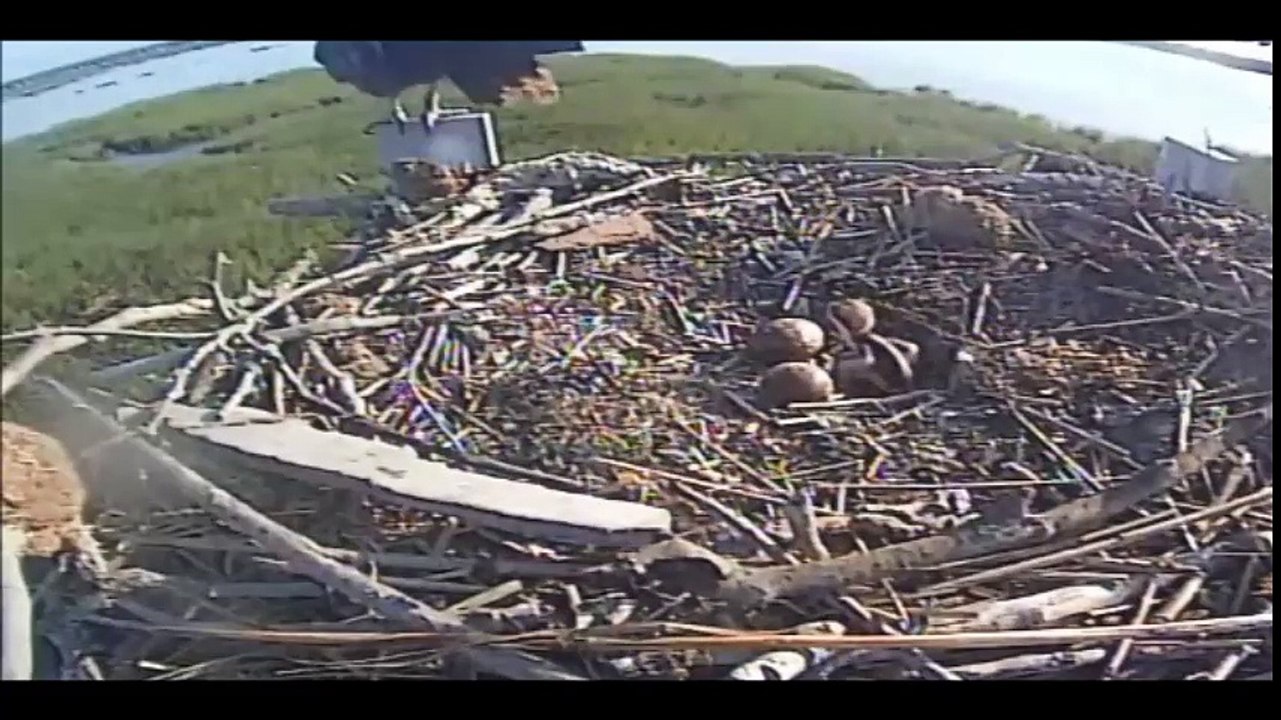 KIDD CAM 6-11-16