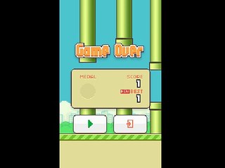 Flappy Bird Glitch
