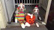 Dogs Go Trick or Treating on Halloween  Cute Dog Maymo & Puppy Penny