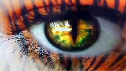 Masood Malik Ghazal Hum Tum Honge Badal Hoga Raqs Mein Sara Jungle Hoga - by funvilla