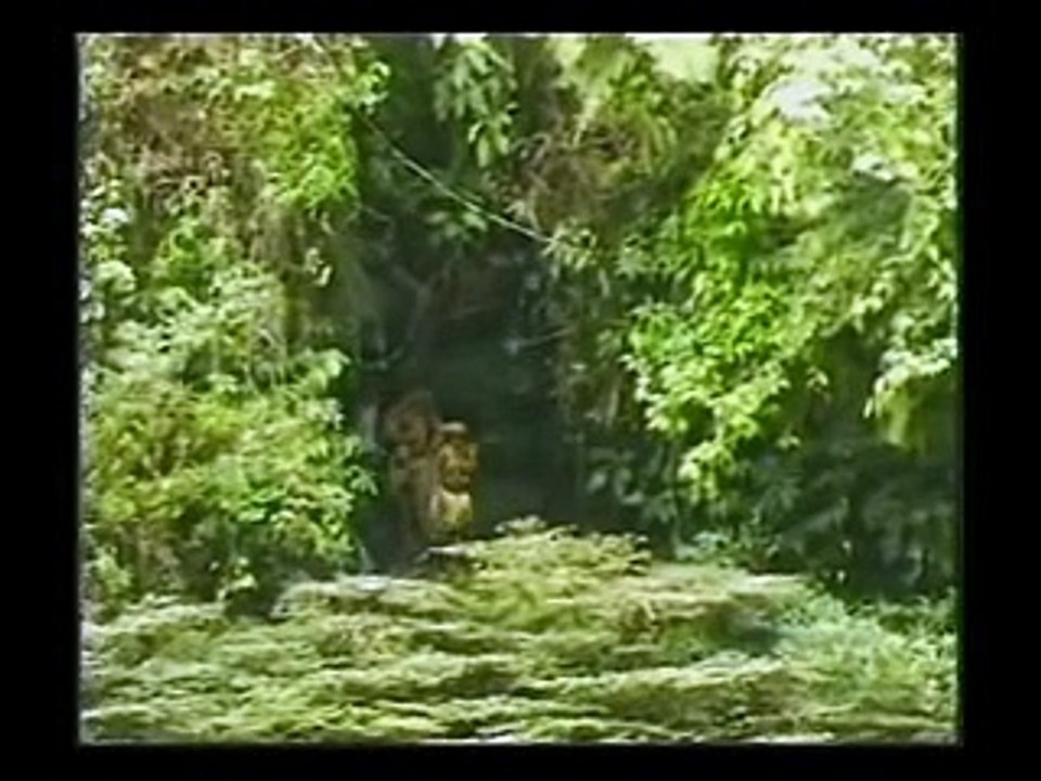 Isolated tribe man meets modern tribe man for the first time - Original Footage full