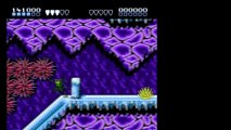 Battletoads [Nintendo]