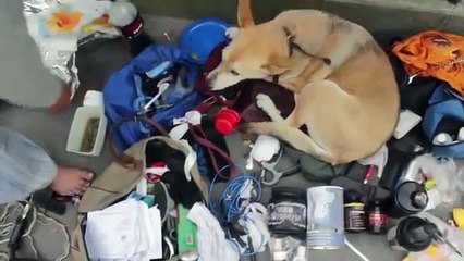 French homeless man, 50 years old, aids patient, street bodybuilder!!! (English subtitles)