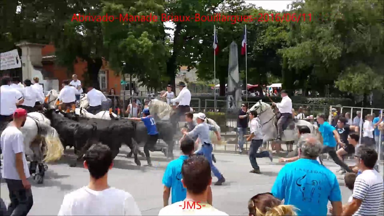 Abrivado-Manade Briaux-Bouillargues-2016/06/11