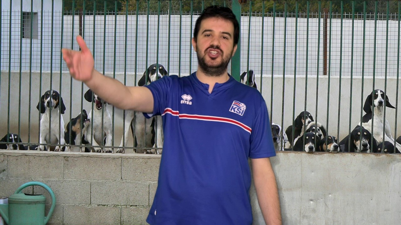 EURO 2016 : FRANCE-ROUMANIE "LES BLEUS ? UNE EQUIPE DE SENSIBLES"