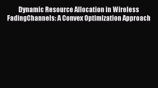 Read Dynamic Resource Allocation in Wireless FadingChannels: A Convex Optimization Approach