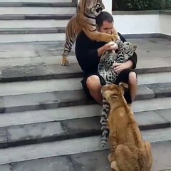 CHE MERAVIGLIA E QUANTA DOLCEZZA !!!