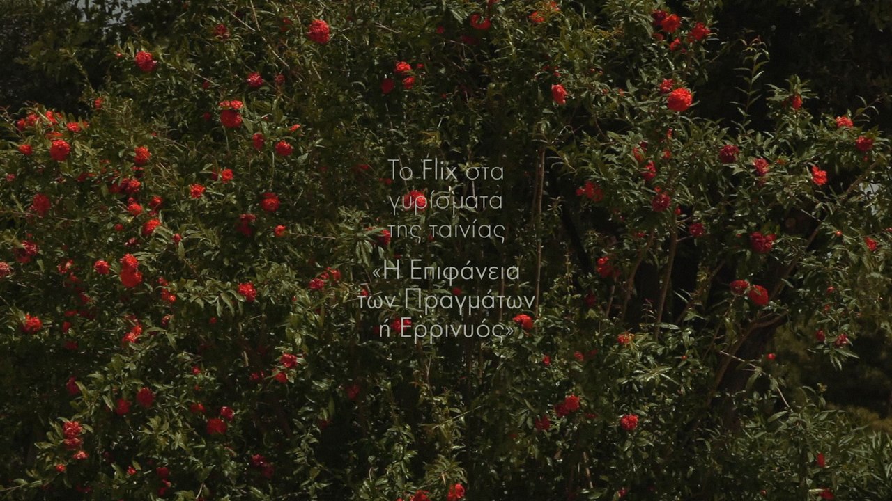 Το Flix στα γυρίσματα της ταινίας «Η Επιφάνεια των Πραγμάτων ή Ερρινυός»