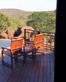 Des éléphants viennent boire l'eau d'une piscine d'hôtel
